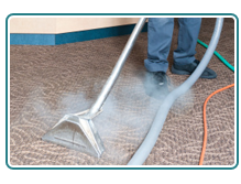 Green Steam Cleaning Carpets