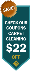 online coupons for cleaning services